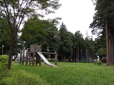 芹沢公園の遊具
